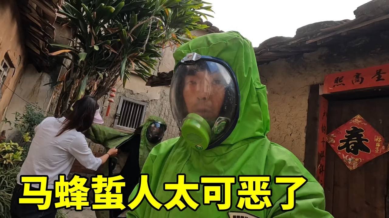 马蜂蜇人太可恶了，今天又来为民除害了，直接收两窝大蜂窝！#农村生活#捕蜂