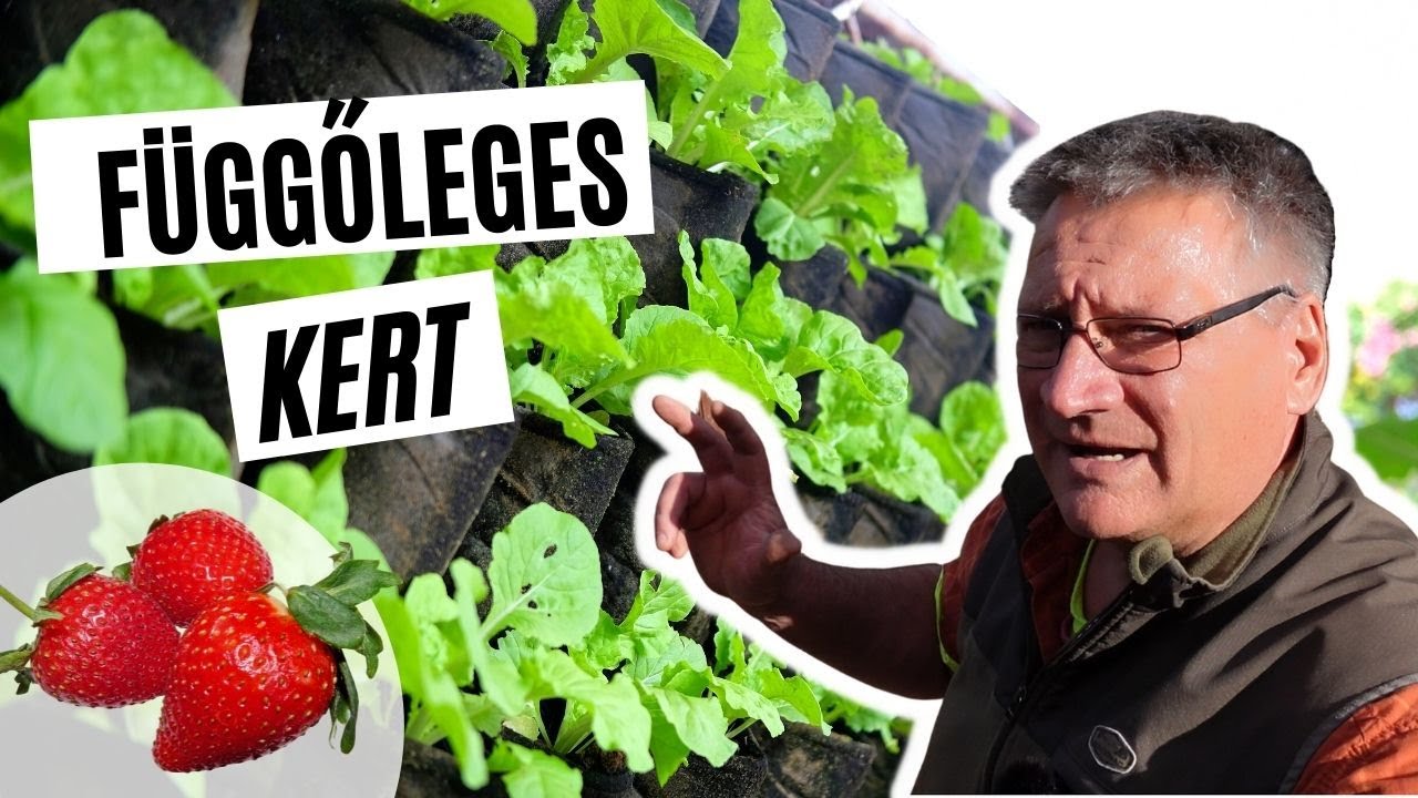 Függőleges kert - növényfalak - zöldfal - termessz kis helyen!  I  Kreatív Farmer