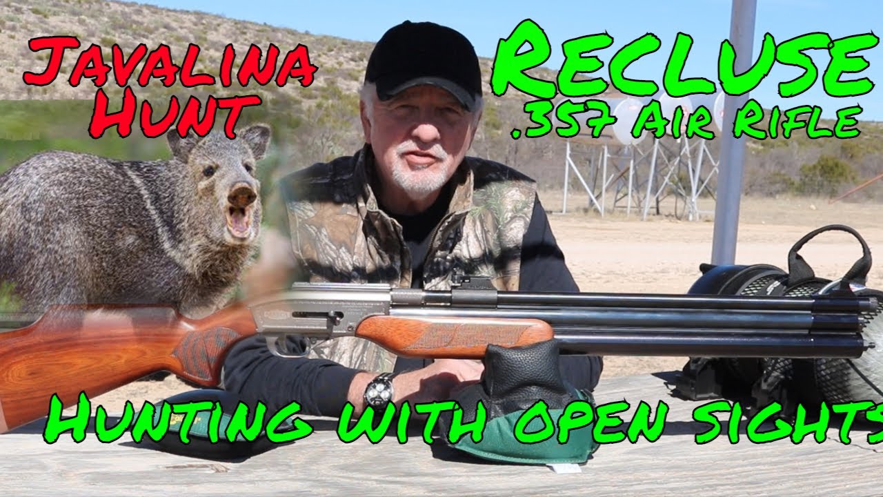 Hunting with Open Sights: Seneca .357 Recluse Air Rifle!