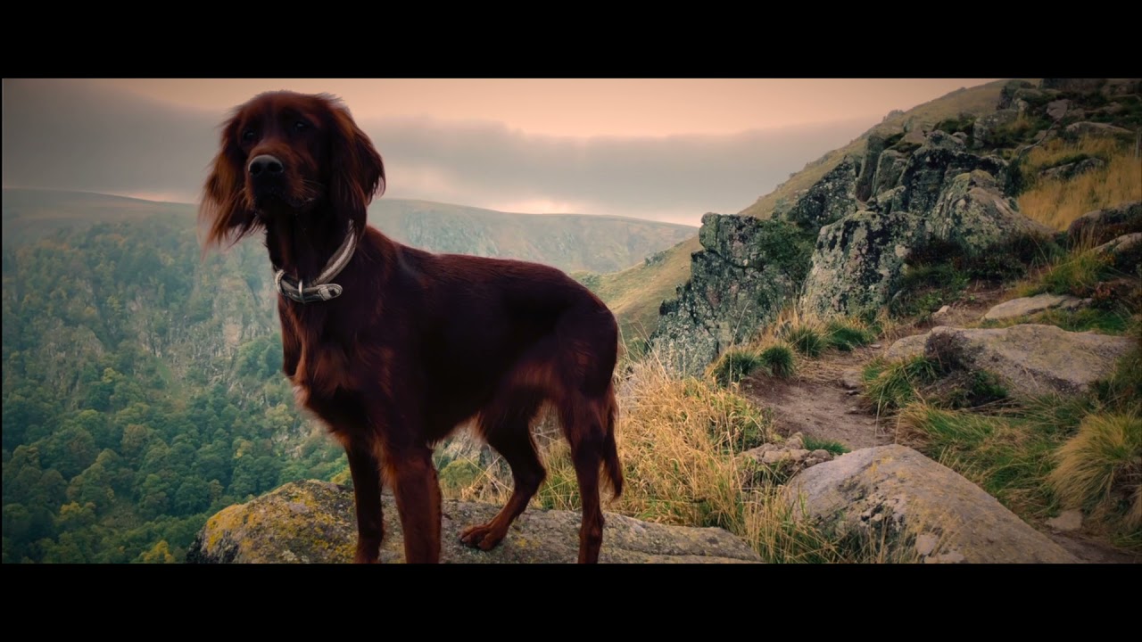 Bei uns   HD 1080p