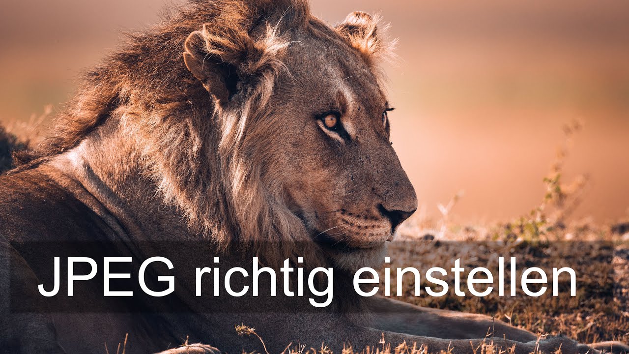 Fotografieren lernen 📸 JPG / JPEG in der Kamera richtig einstellen
