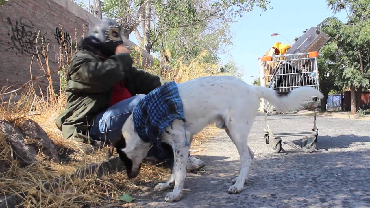 Piter Ponx - Un Perro Hambriento (Video Oficial)
