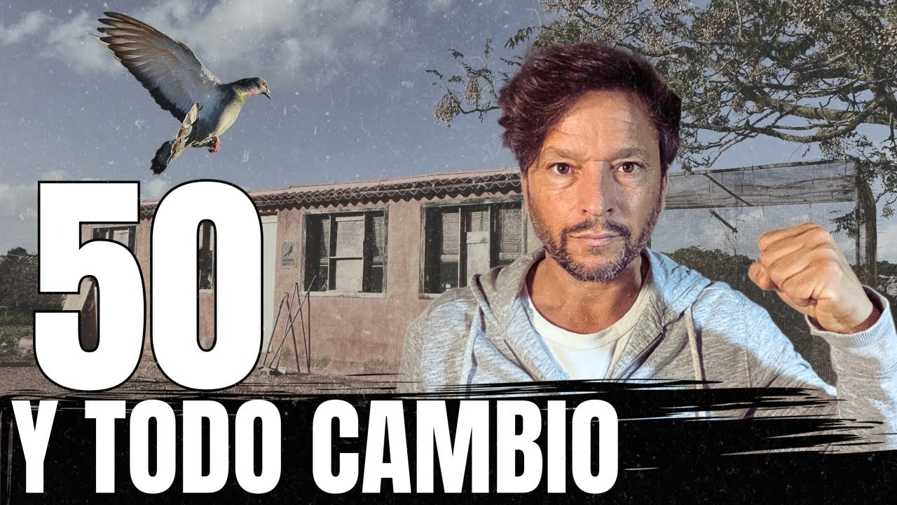 ⚡ Cuando descubres ESTO&hellip; ya no vuelves a volar igual.