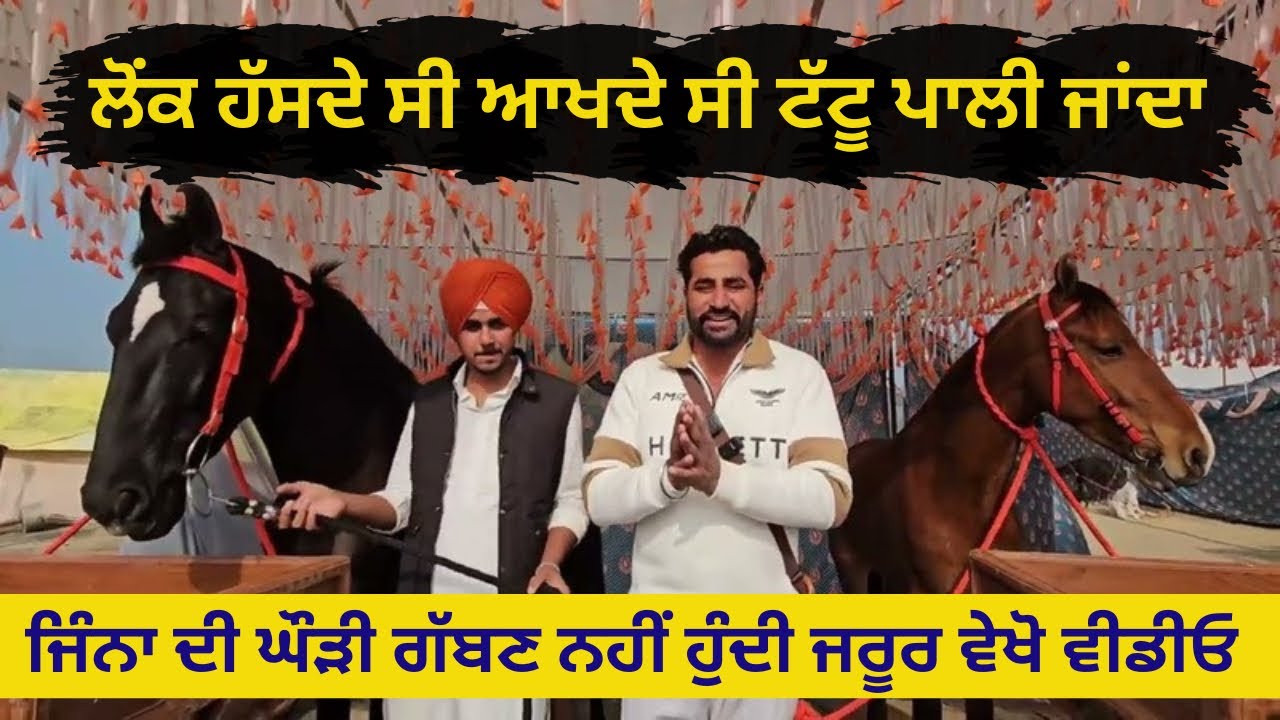 ਜਿਹੜੇ ਮਜਾਕ ਚ ਆਖਦੇ ਸੀ ਟੱਟੂ ਪਾਲੀ ਜਾਦਾ ਹੁਣ ਸਲਾਹਾਂ ਲੈਦੇ ਆ Inderbadsha stud farm  Muktsar mela 2026 