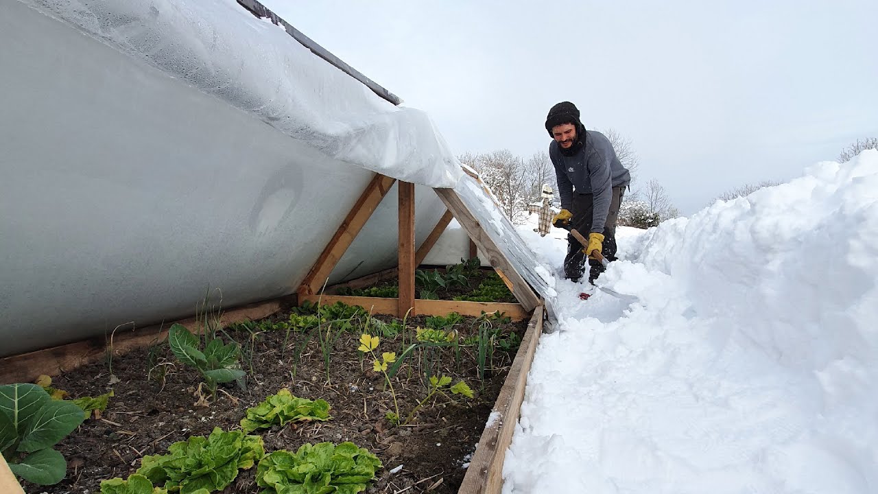 Como hacer INVERNADERO CASERO | Súper Resistente al frio y nieve