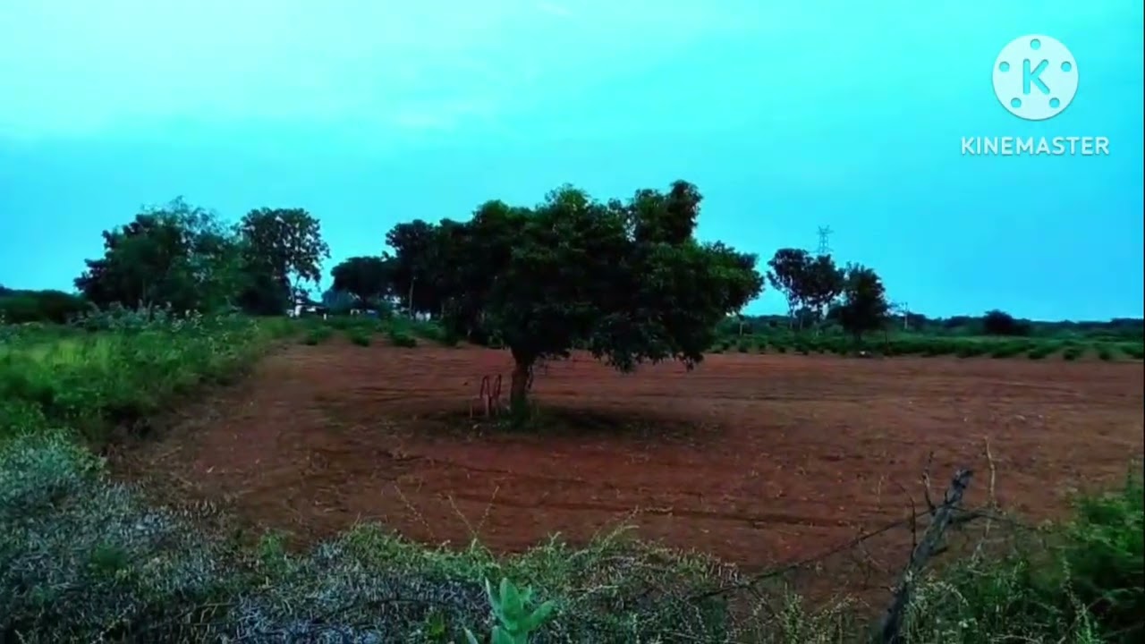 தூத்துக்குடி ஸ்ரீவைகுண்டம் கருங்குளம் அருகில் 20 ஏக்கர் செம்மண் நிலம் விற்பனைக்கு 1 ஏக்கர் 14 லட்சம்