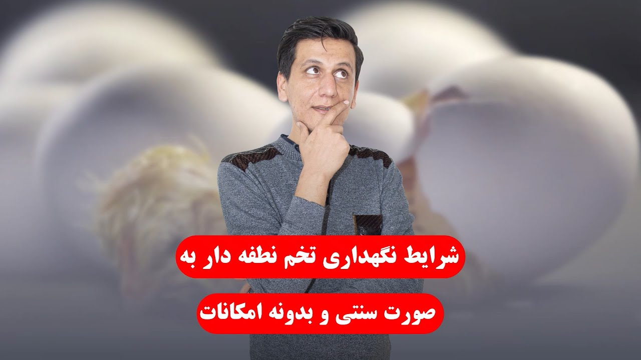 نگهداری تخم نطفه دار | بیان شرایط و بهترین روش نگهداشتن تخم نطفه دار