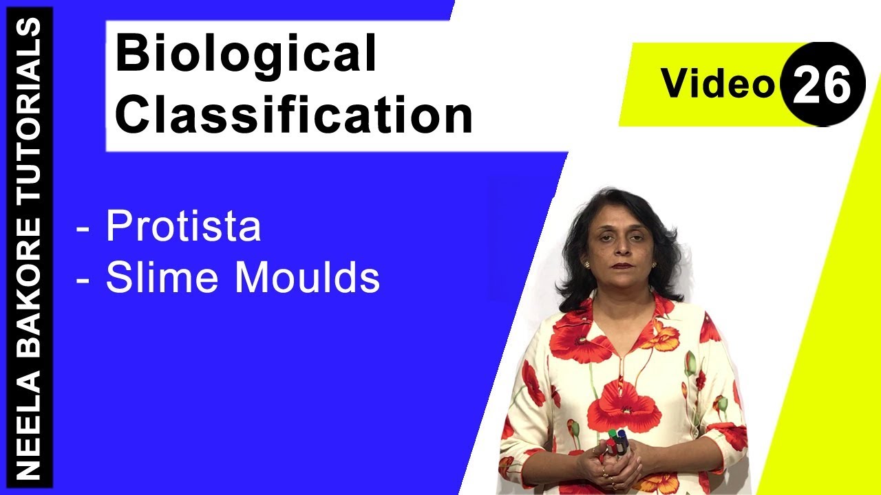 Biological Classification | NEET | Protista - Slime Moulds | Neela Bakore Tutorials