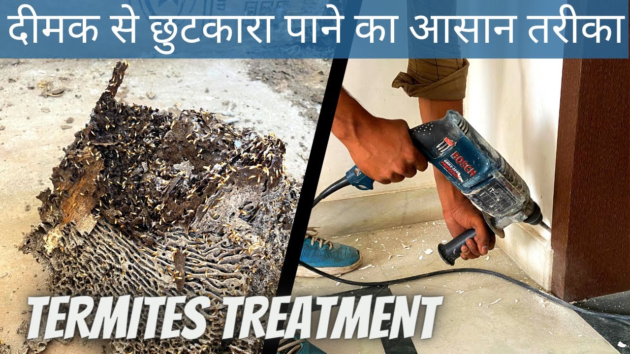 Deemak treatment kaise kare | termite treatment chemicals | Deemak pest control in Delhi