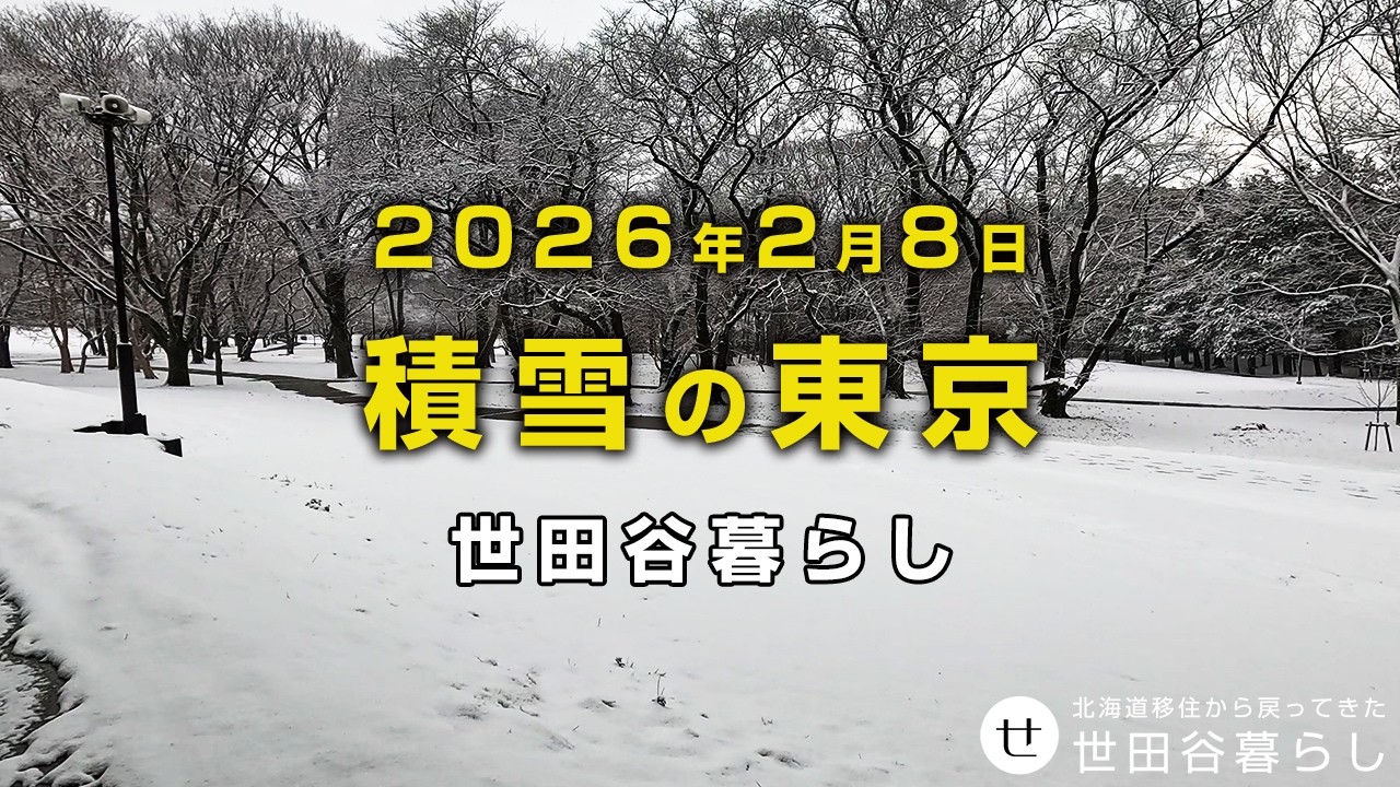 世田谷散歩｜東京は雪が積もりました。雪の降る中砧公園を散歩しています。