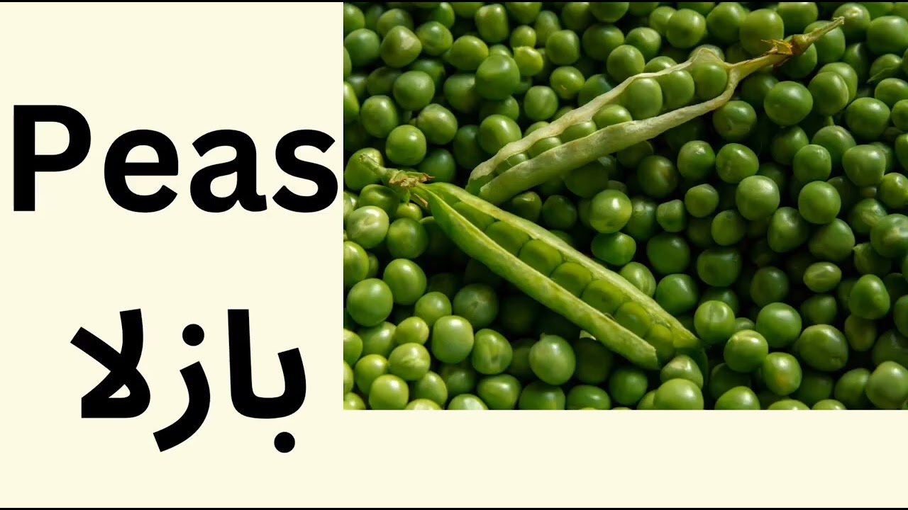 Vegetables name in Arabic Arabic language