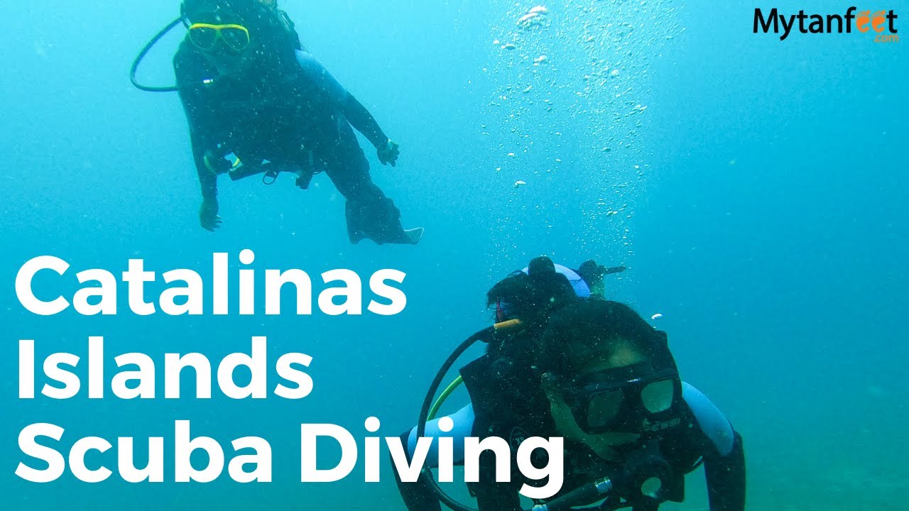 Costa Rica Catalinas Islands Scuba Diving (Flamingo, Guanacaste)