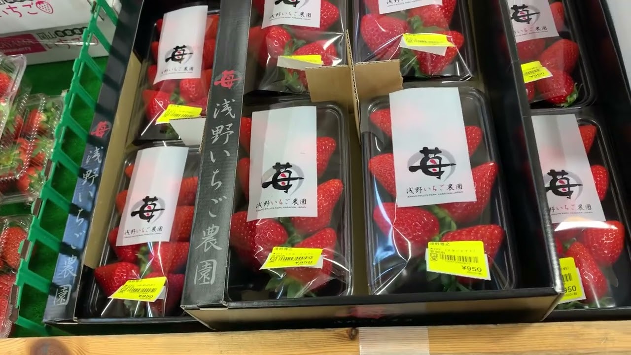 道の駅笠岡ベイファーム直売所いちご🍓2／19