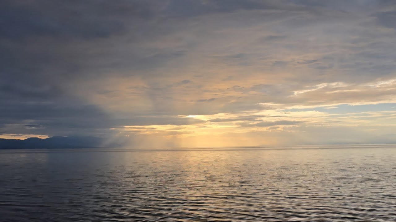 La Musica y la Naturaleza Rescata, Salva y Sana 
