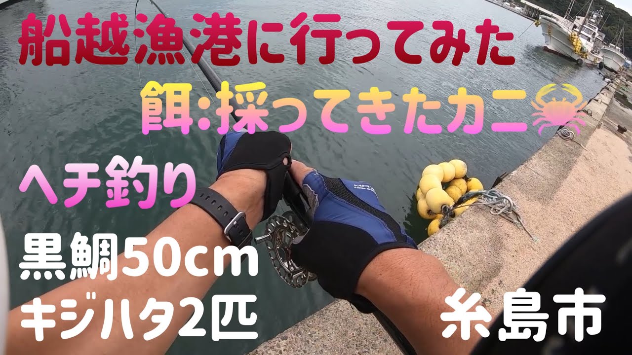 福岡県でヘチ・前打ち釣りで黒鯛釣り55