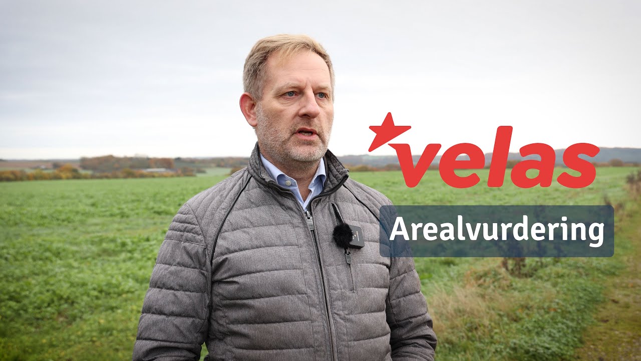 Velas Arealvurdering ved Mads Niær