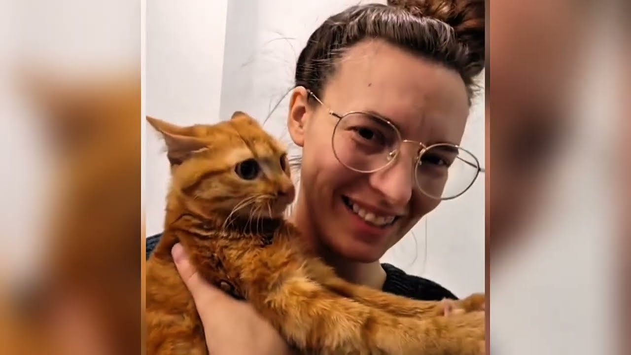 This Disabled Kitten Can’t Walk Normally — But His Will to Live Will Break Your Heart
