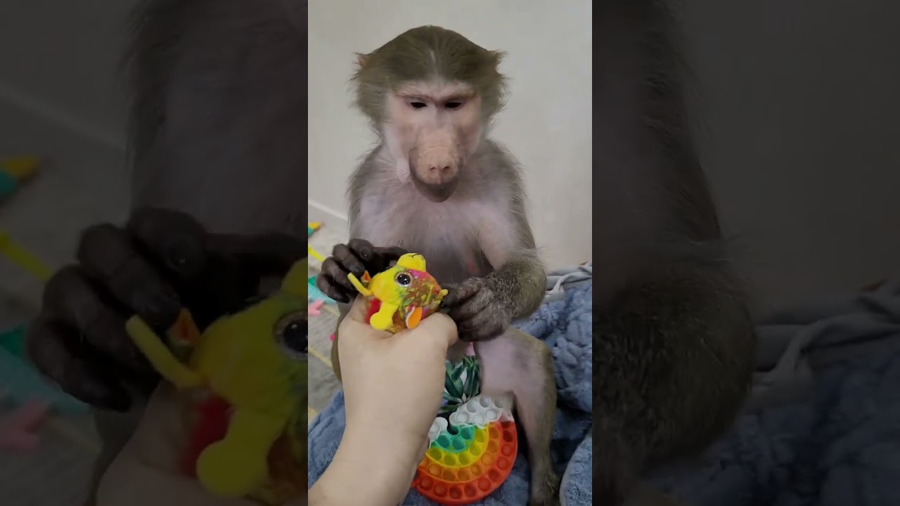 Что за страшная игрушка?😳