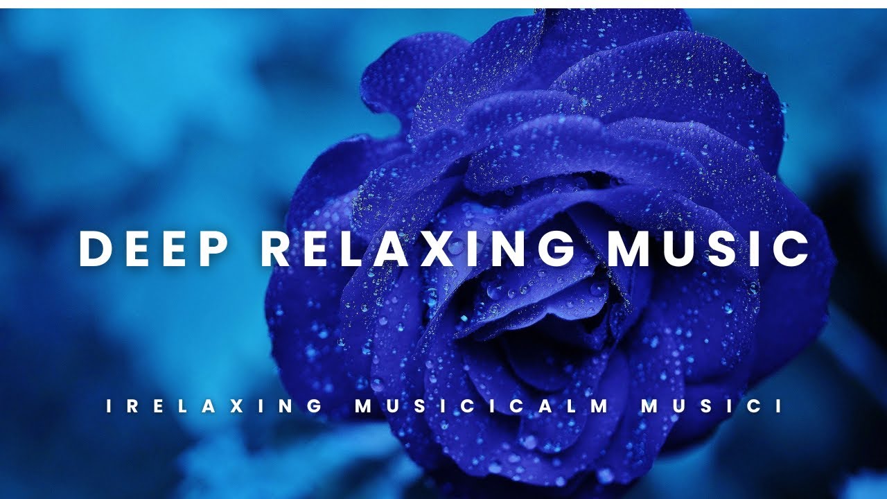 Beautiful Flower Compilation 🌸 Relaxing Music for Stress Relief, Sleep & Peace