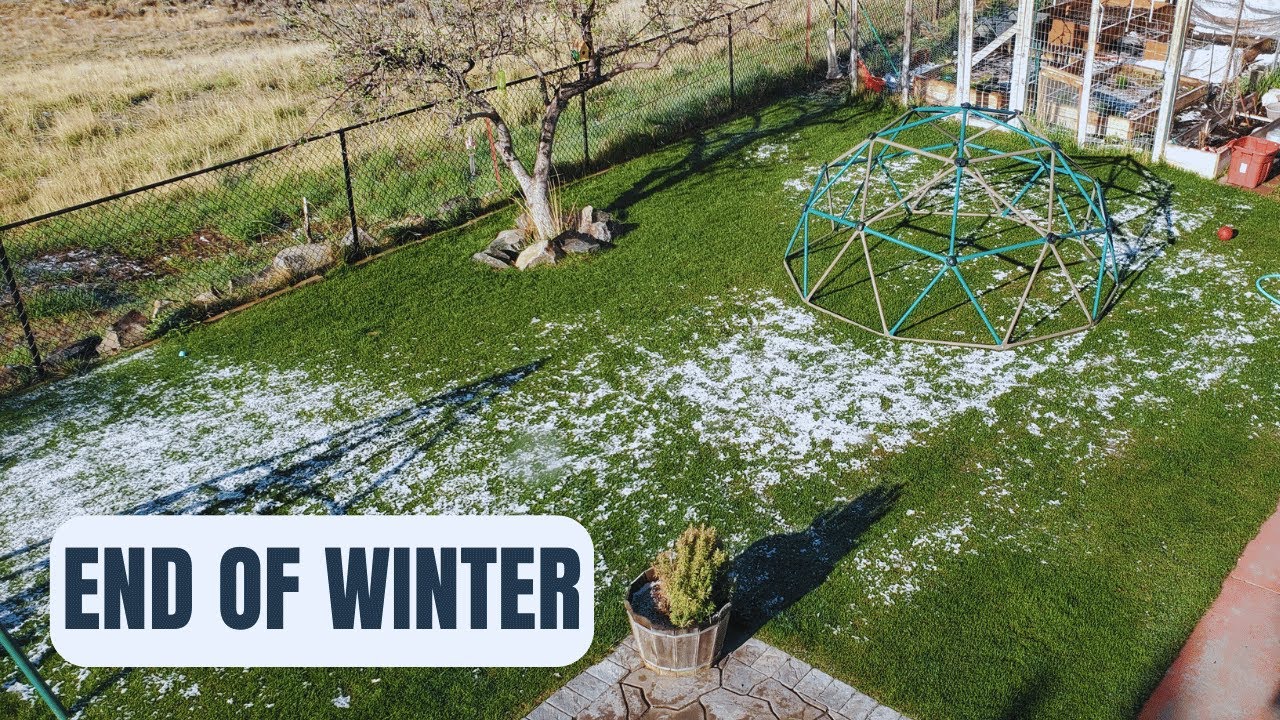 62 Lawn TIPS & TRICKS For The End Of Winter