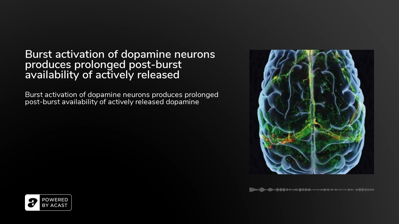 Burst activation of dopamine neurons produces prolonged post-burst availability of actively relea...