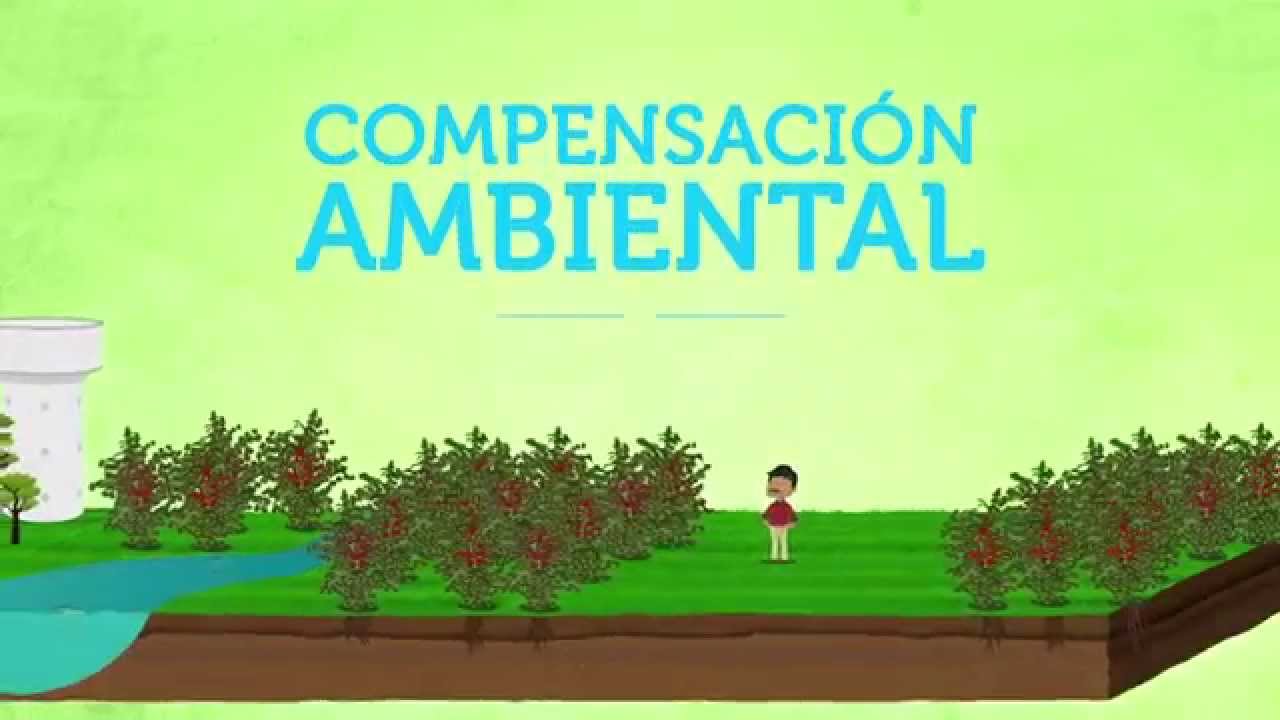 Compensación Ambiental: Una oportunidad para todos