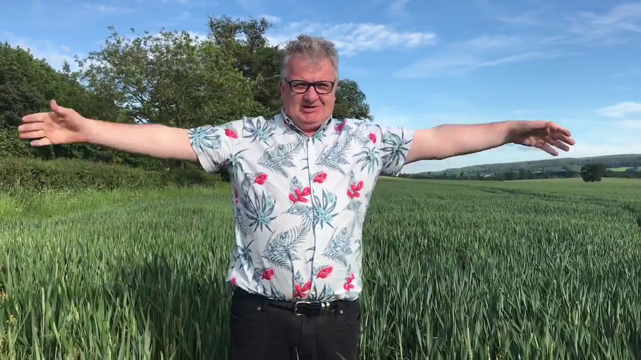 The Scarecrow Rap