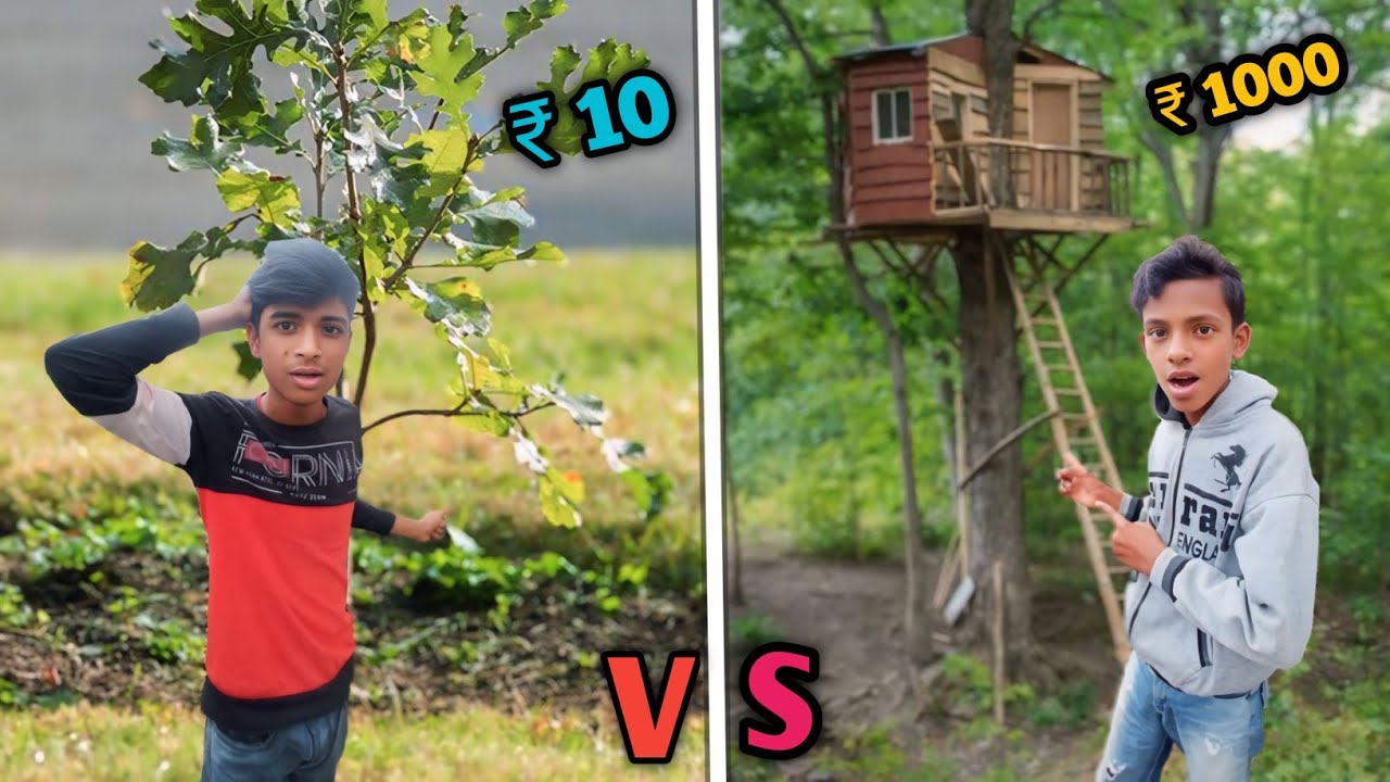 survival challenge in tree 🌴 Big vs small tree