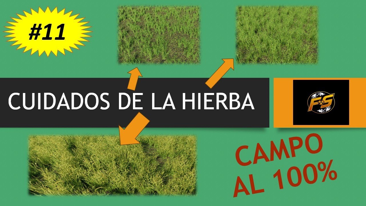 🚜🐄#11 🌽-CUIDADOS DE LA HIERBA Y SU RENDIMIENTO🌽 🚜🐄#fs22 #farmingsimulator22 #tutoriales
