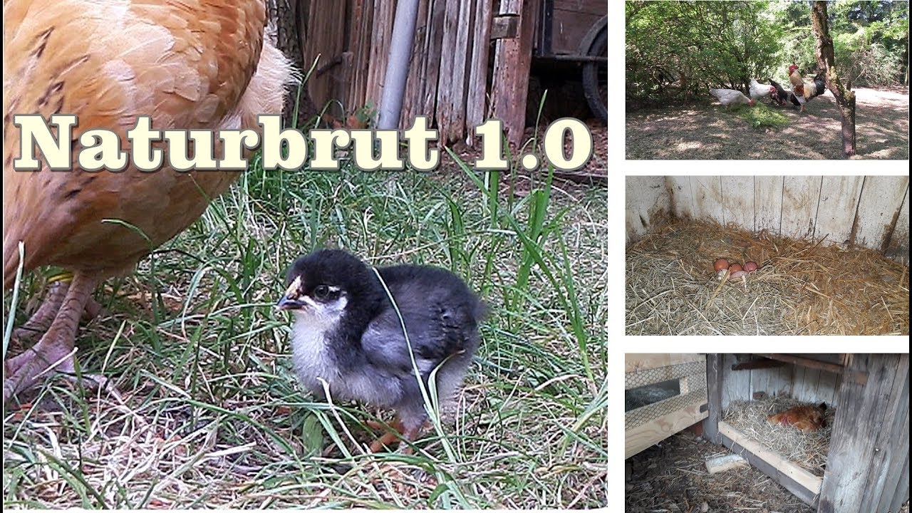 Naturbrut 1.0