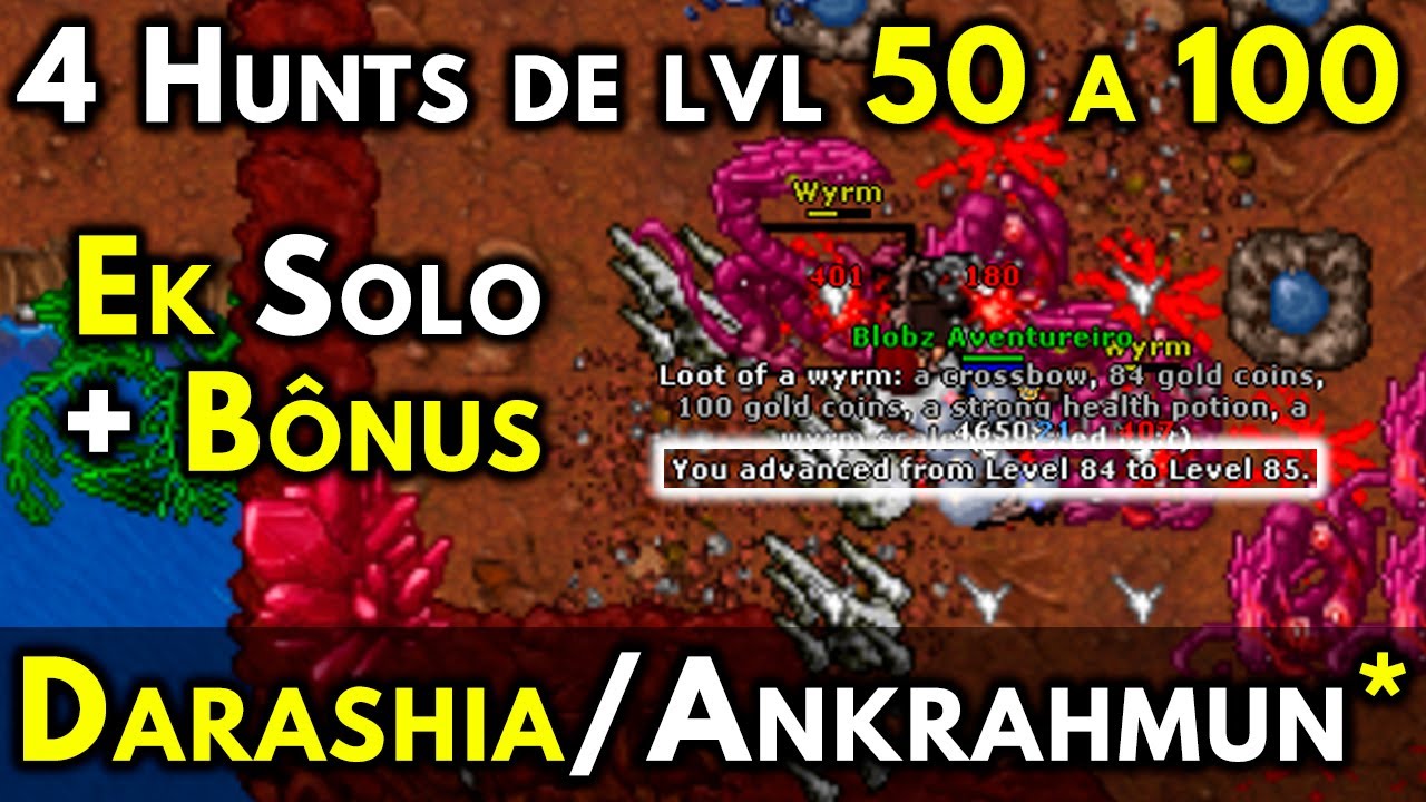 4 Hunts de Ek Solo em Darashia/Ankrahmun* - lvl 50 a 100 - Mais Bônus - Vamo que Vamo.