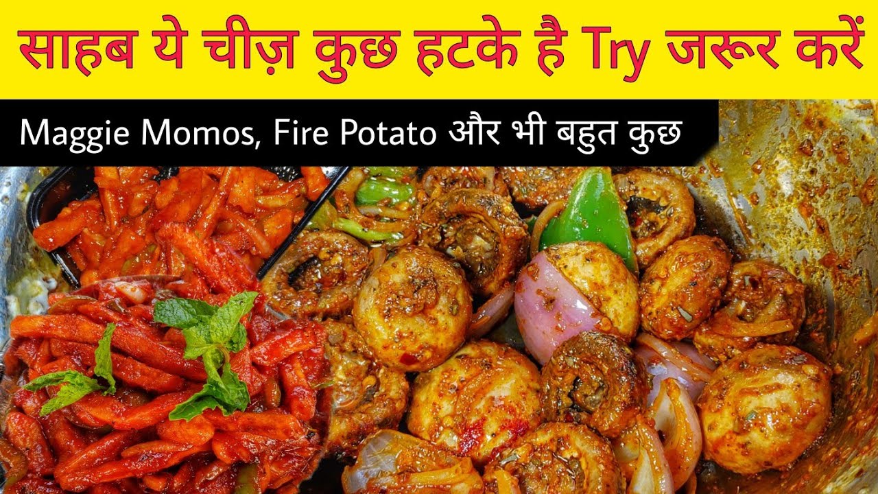 Hariyali Pudina Chaap, Mushroom Tikka, Variation Momos King & More || Delhi Street Food