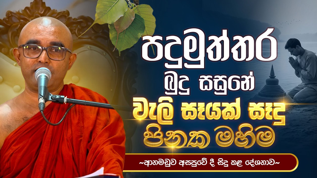 පදුමුත්තර බුදු සසුනේ වැලි සෑයක් සෑදු පිනක මහිම  | ආනමඩුව අසපුවේ දී සිදු කළ දේශනාව