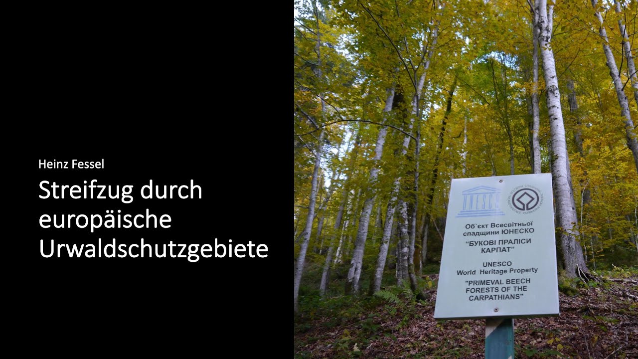 Zukunft der Urwälder in der Ukraine und in Europa - Vortrag Heinz Fessel