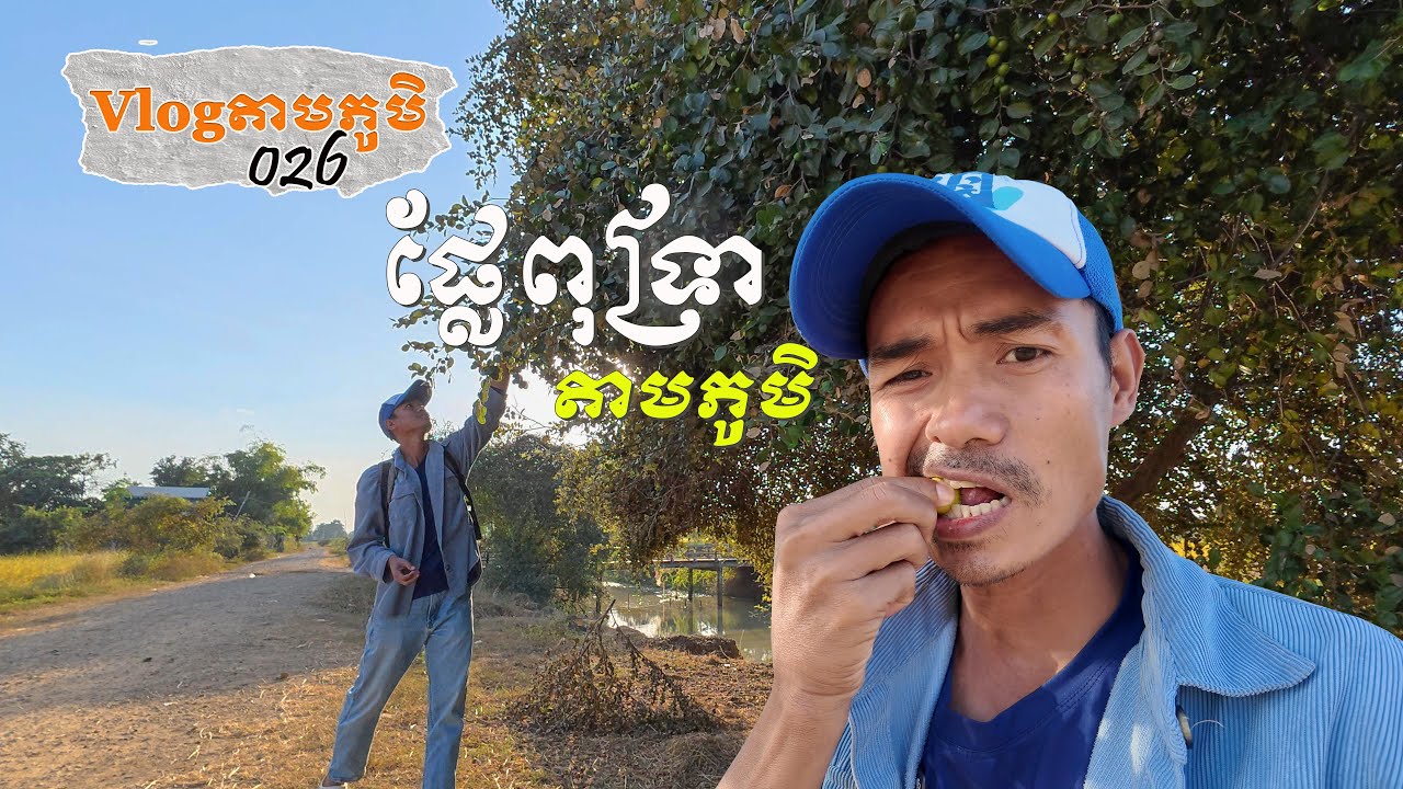(Full Episode) Vlogតាមភូមិ 026​ — ជិះម៉ូតូតាមស្រែបេះផ្លែពុទ្រានៅជើងភ្នំសំពៅ | Battambang Vlog
