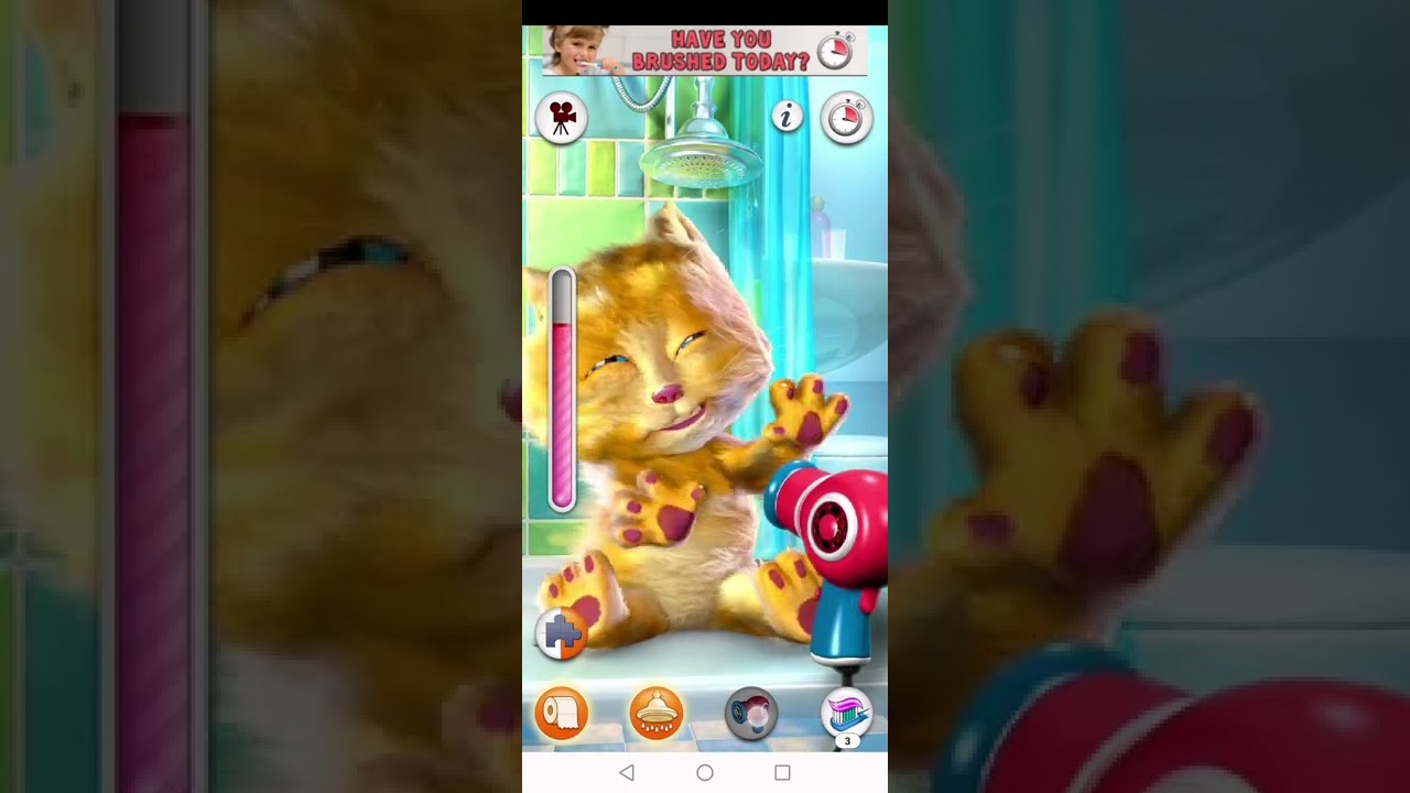 talking ginger old version files bear