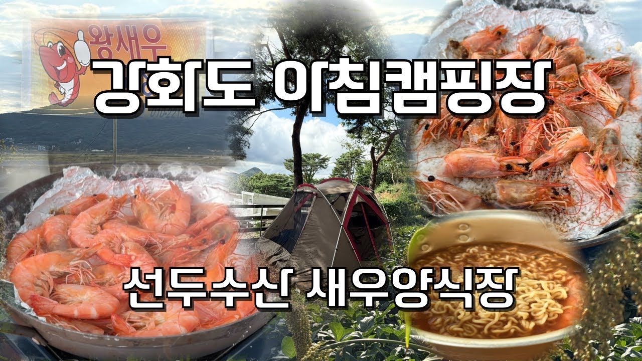 [캠핑브이로그] 대하의 계절이 돌아왔다🦐🦐 ｜강화도 아침캠핑장｜선수수산 새우양식장