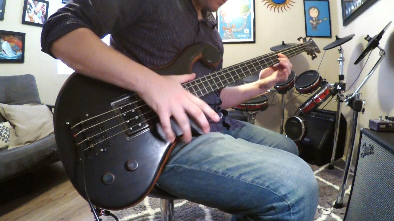 Bass Cover : Primus - Too Many Puppies