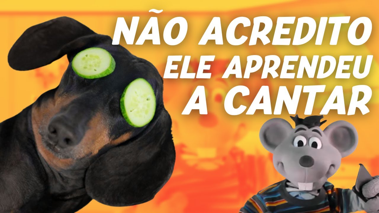 ESSES BICHOS FORAM LONGE DEMAIS... 😱  - PET É MASSA - Canal do Xaropinho