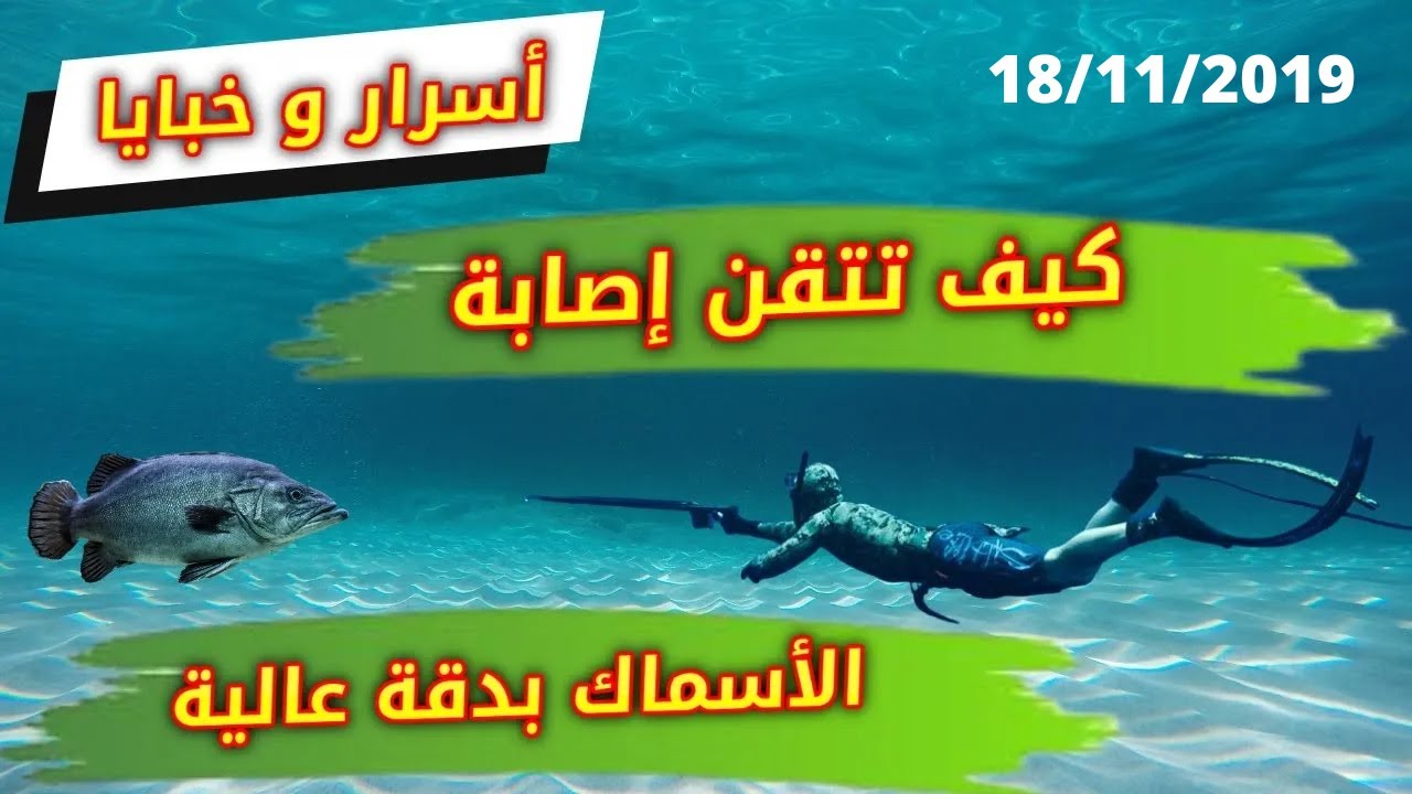 تعلم كيف تصيب الأسماك بدقة عالية في الصيد تحت الماء و الغوص الحر