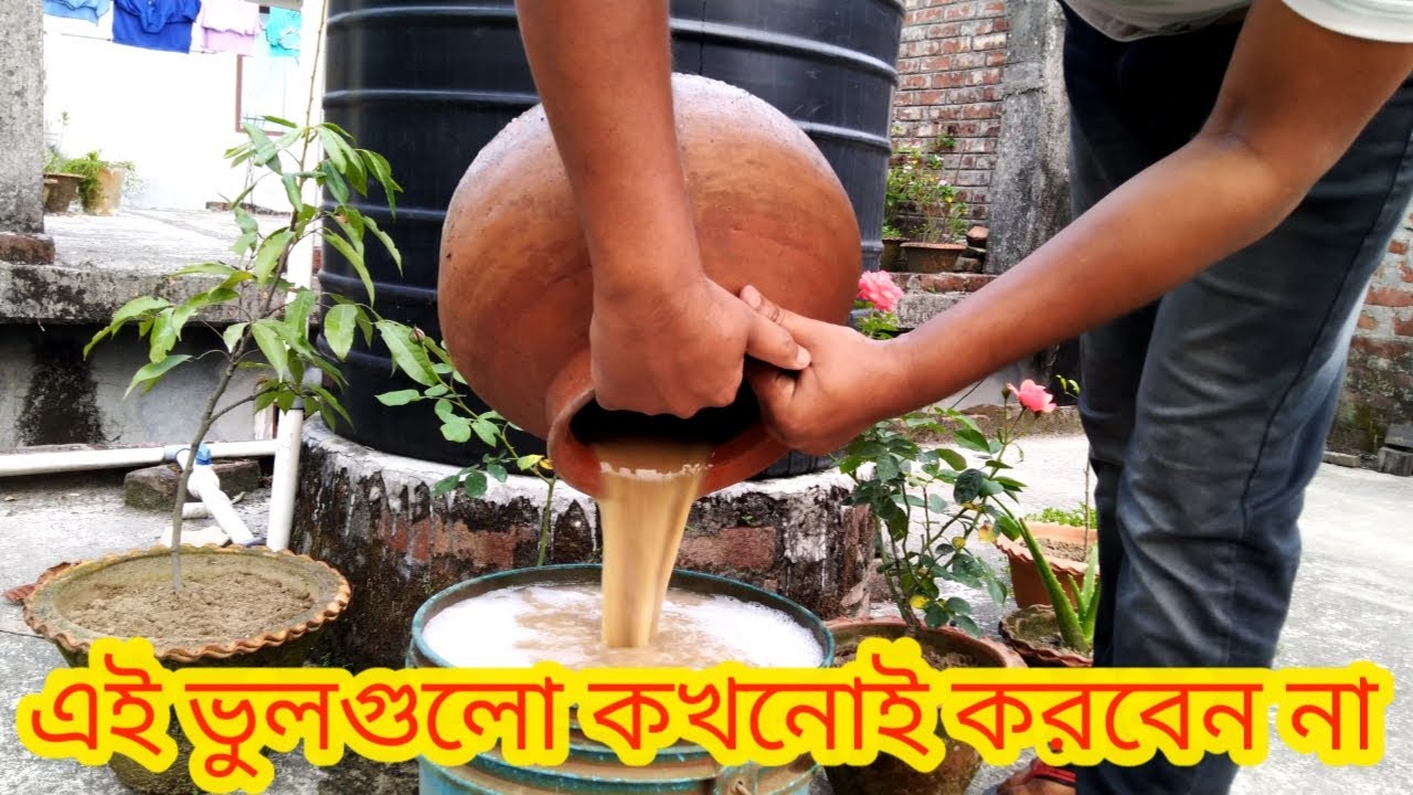 সরিষার খৈলের তৈরি তরল জৈব সার ব্যাবহারের সঠিক পধতি। Mastered Cake fertilizer।Gardener Friend।Bengali