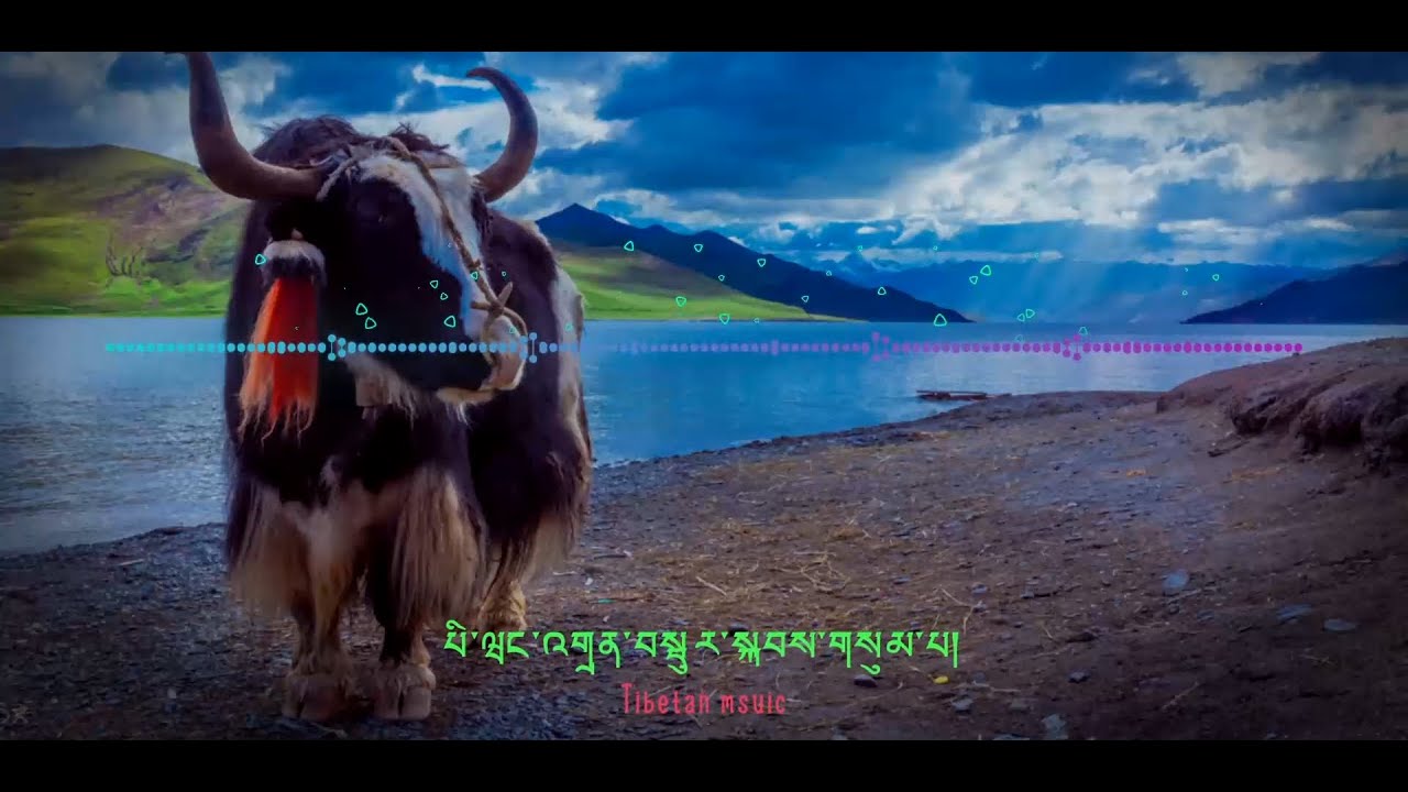 3th Tibetan Mandolin Folk Music Contest