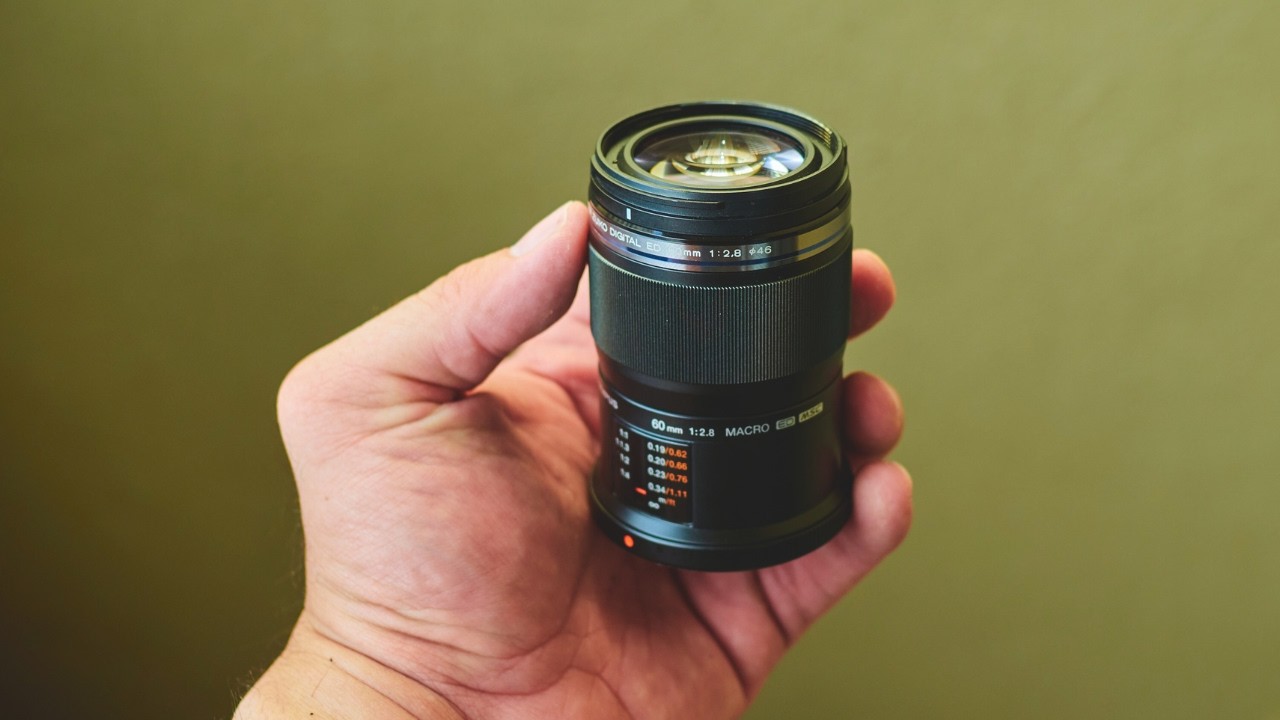 The Best Macro Lens For Micro Four Thirds