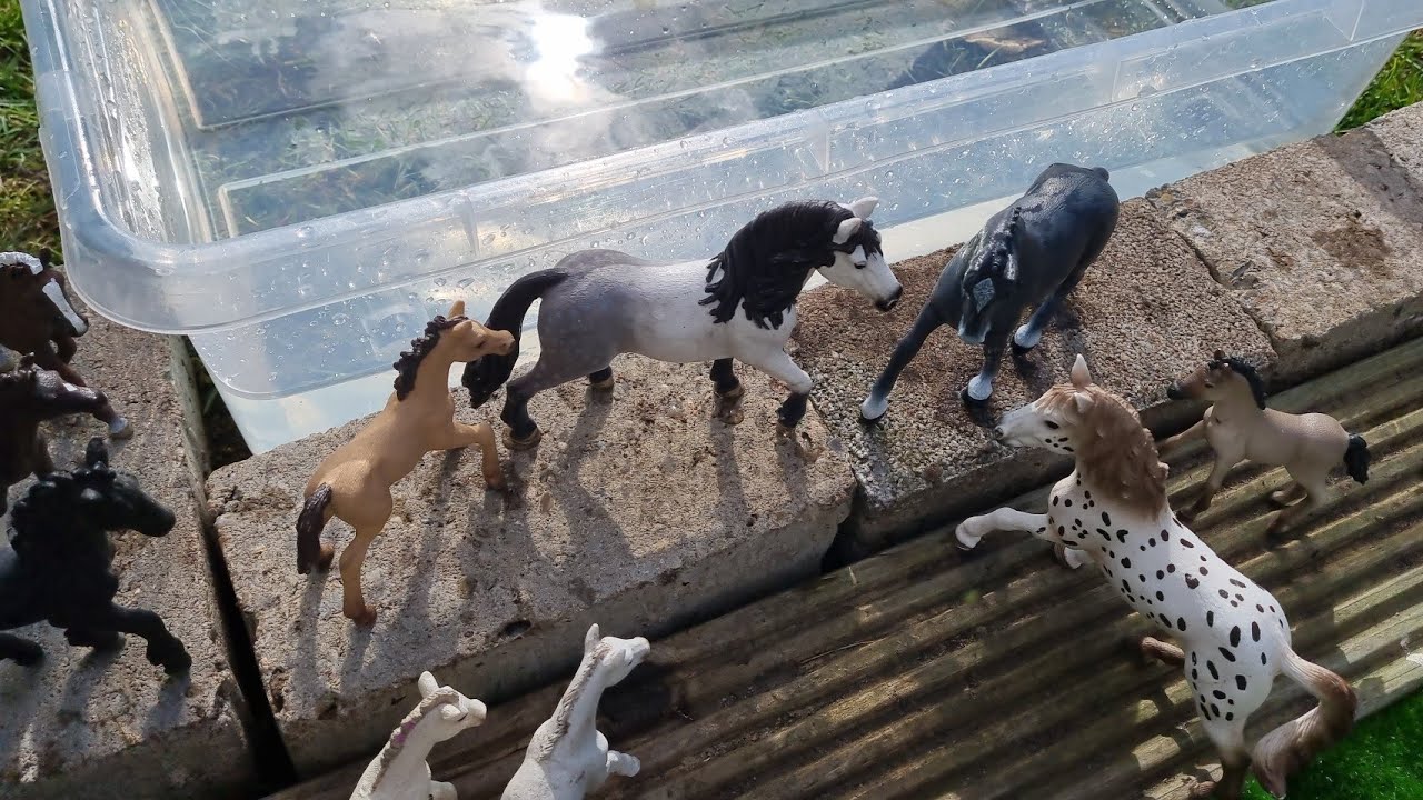 Fohlenschule FREIBAD #3📚🐳Schleich Serie