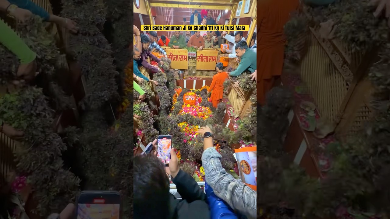 Shree Bade Hanuman Ji Ko Chadhai 111 Kg TULSI ki Mala | #ghumakkadprayagi #mahakumbh2025 #prayagraj