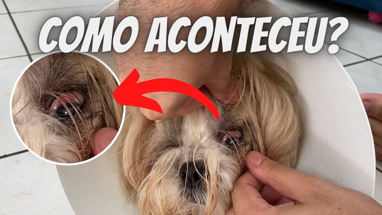 FLOQUINHO ESTÁ COM UM DERRAME NO OLHO