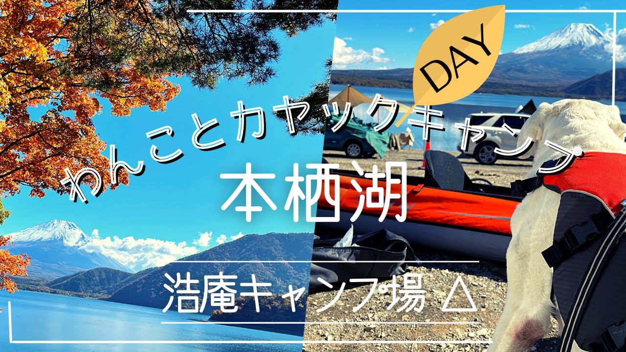わんことカヤック 𖧗本栖湖｜11月の浩庵キャンプ場△｜インフレータブルカヤックで大型犬（ラブラドール）と湖上から愉しむ富士山＆秋の色｜Lake MOTOSU｜Kayaking in Japan