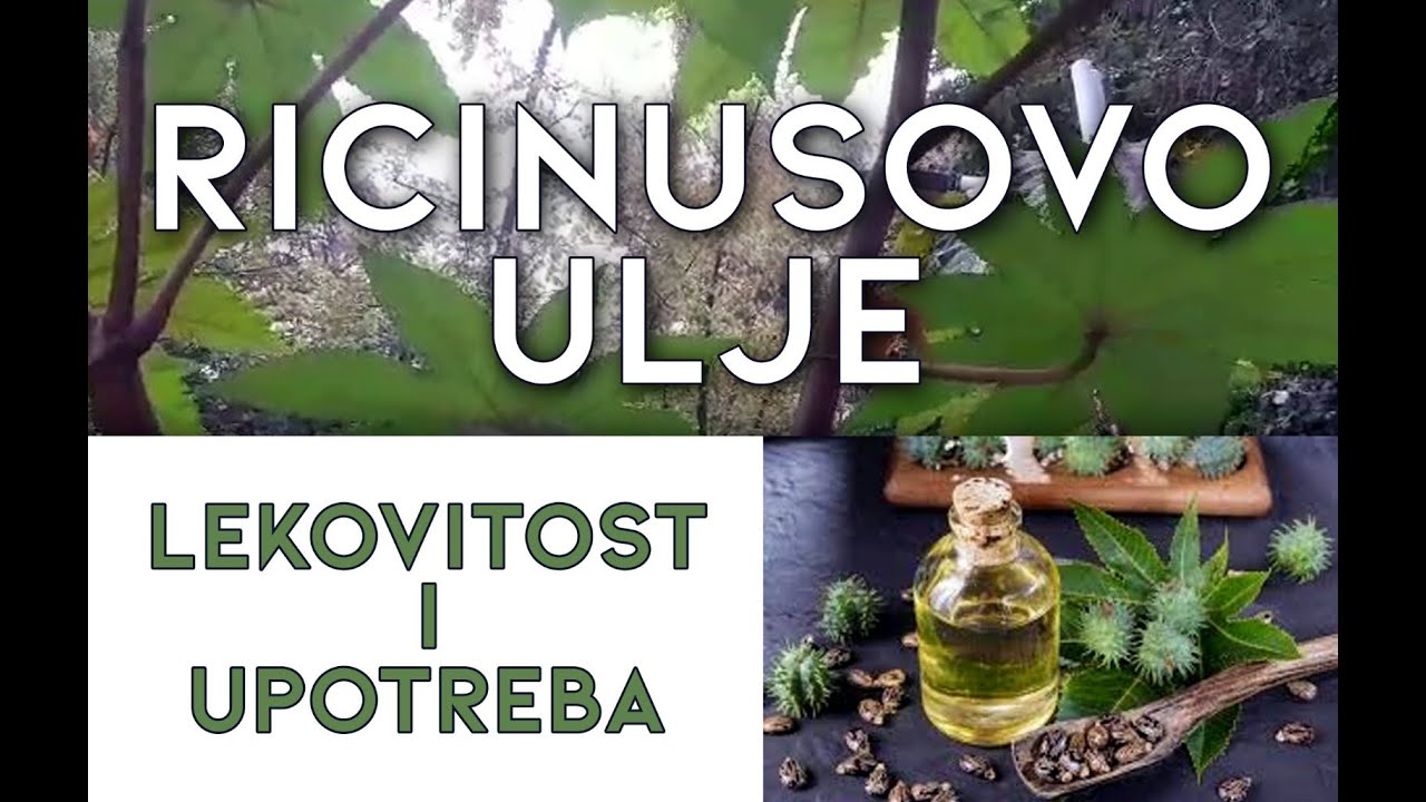 RICINUSOVO ULJE: LEKOVITOST I UPOTREBA