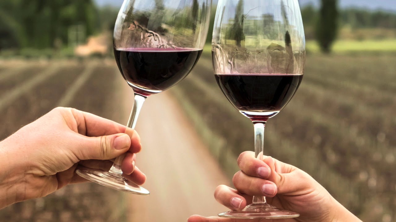Episodio 7 - Vino Para Principiantes - Merlot
