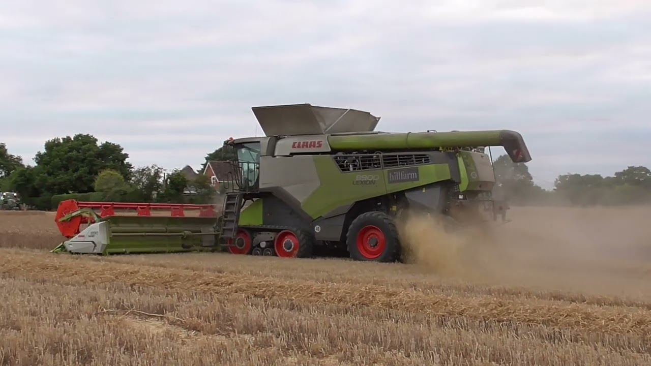 claas lexion 8900 harvesting wheat at wenhaston suffolk ( 5th august 2024  }